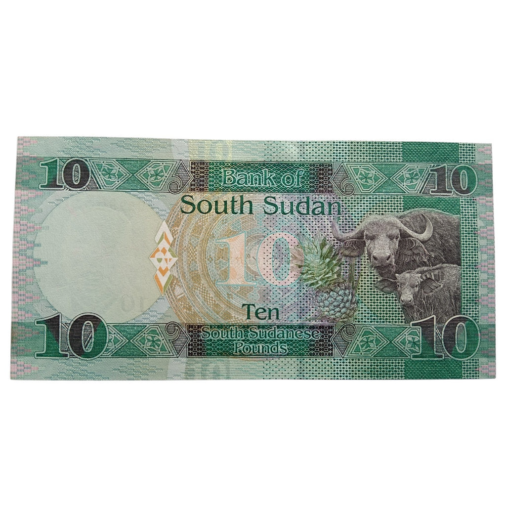 South Sudan 10 Pounds UNC note